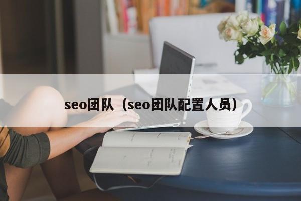 seo团队（seo团队配置人员）