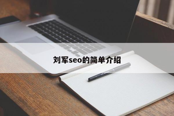 刘军seo的简单介绍