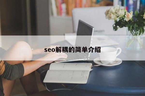 seo解耦的简单介绍