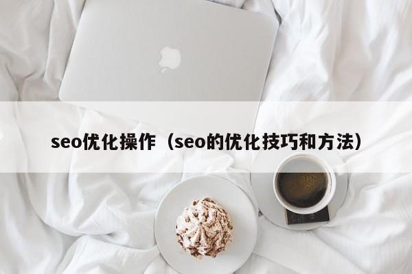 seo优化操作（seo的优化技巧和方法）