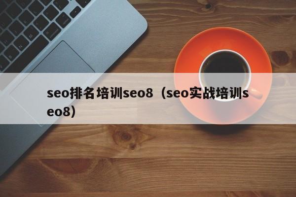 seo排名培训seo8（seo实战培训seo8）