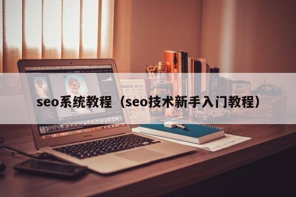 seo系统教程（seo技术新手入门教程）