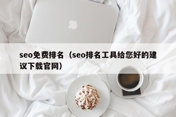 seo免费排名（seo排名工具给您好的建议下载官网）