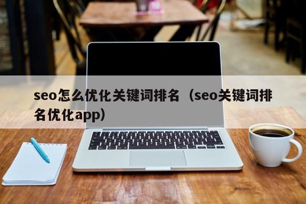 seo怎么优化关键词排名（seo关键词排名优化app）