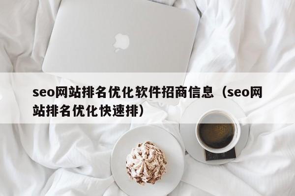 seo网站排名优化软件招商信息（seo网站排名优化快速排）