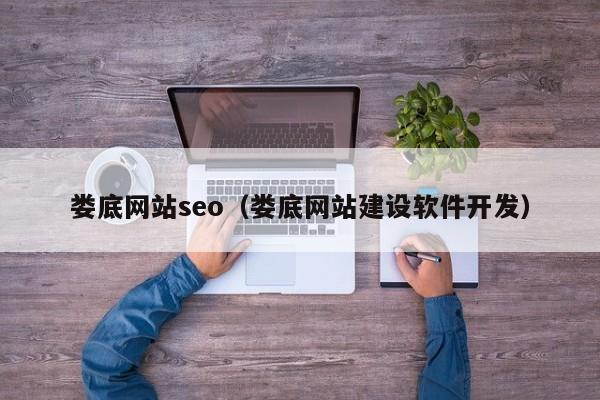 娄底网站seo（娄底网站建设软件开发）