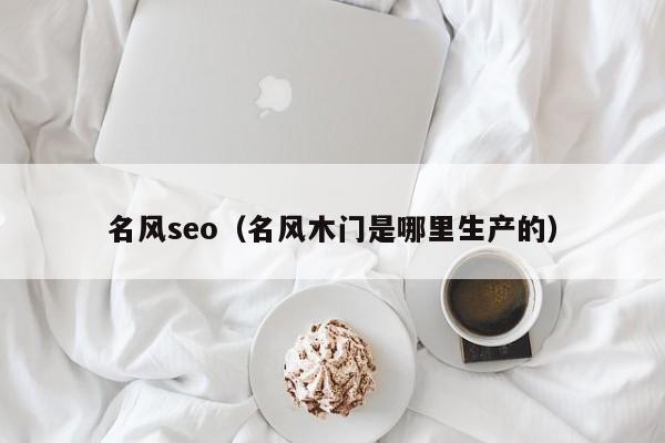 名风seo（名风木门是哪里生产的）