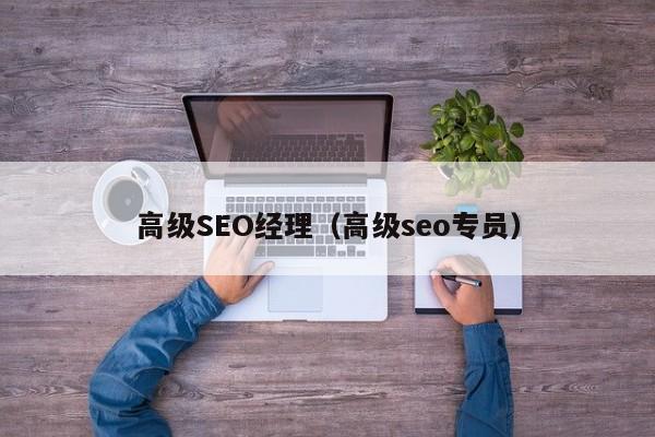 高级SEO经理（高级seo专员）