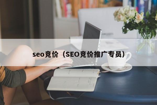 seo竞价（SEO竞价推广专员）