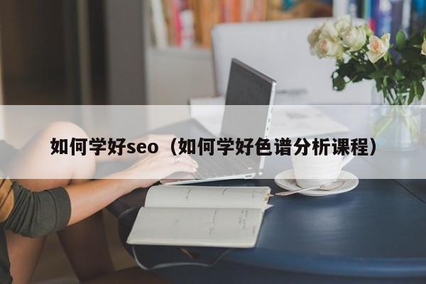 如何学好seo（如何学好色谱分析课程）