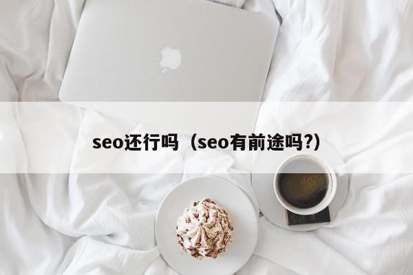 seo还行吗（seo有前途吗?）