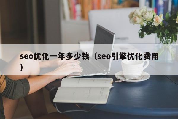 seo优化一年多少钱（seo引擎优化费用）