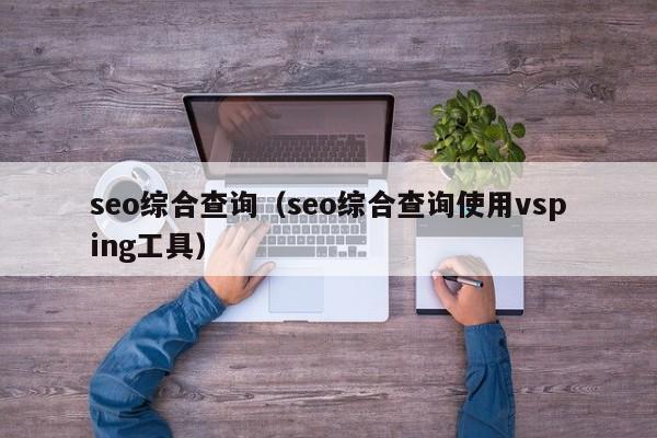 seo综合查询（seo综合查询使用vsping工具）