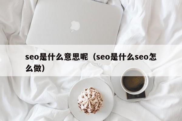 seo是什么意思呢（seo是什么seo怎么做）