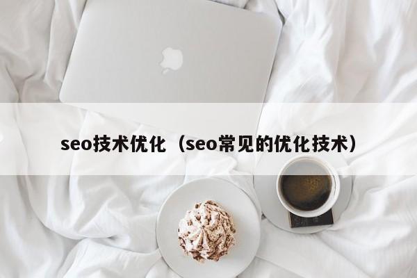 seo技术优化（seo常见的优化技术）