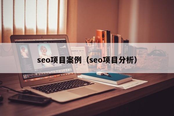 seo项目案例（seo项目分析）