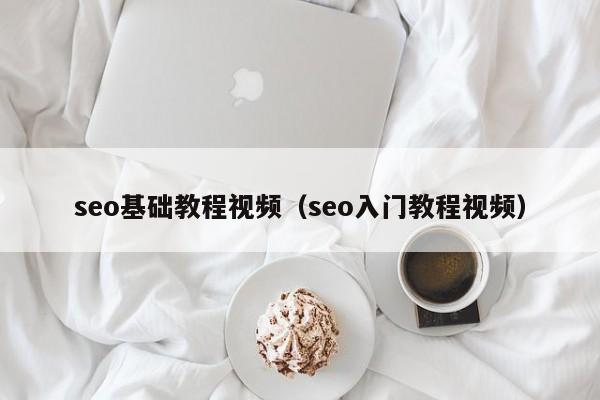 seo基础教程视频（seo入门教程视频）