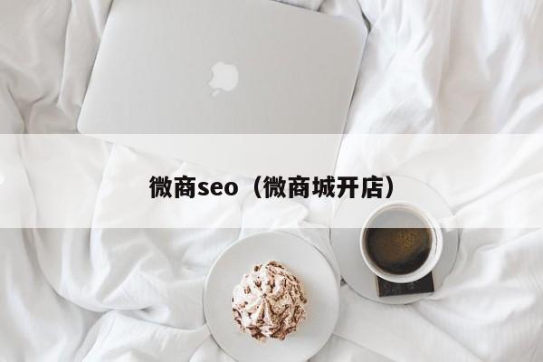 微商seo（微商城开店）