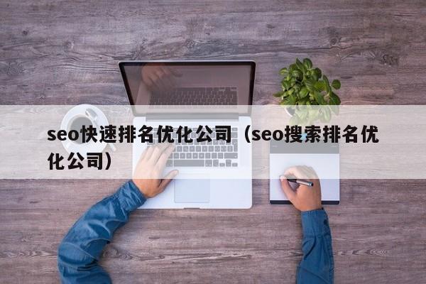 seo快速排名优化公司（seo搜索排名优化公司）