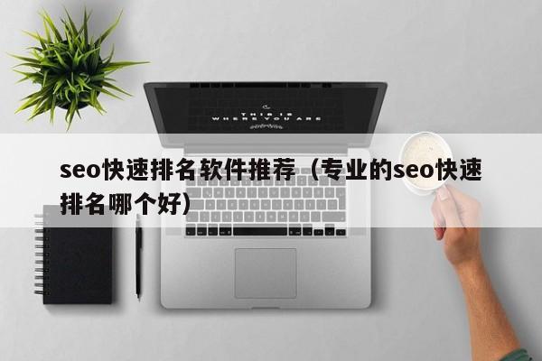 seo快速排名软件推荐（专业的seo快速排名哪个好）