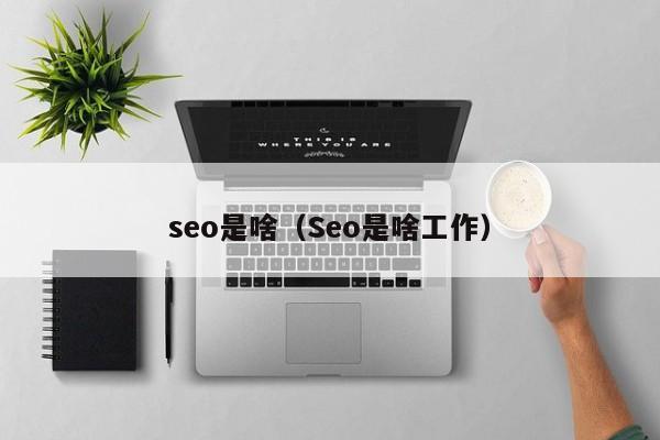 seo是啥（Seo是啥工作）