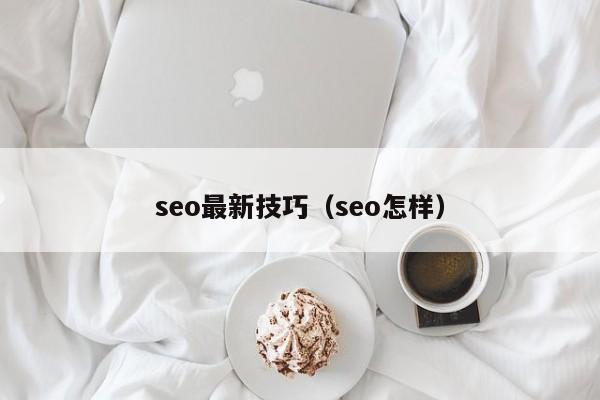 seo最新技巧（seo怎样）