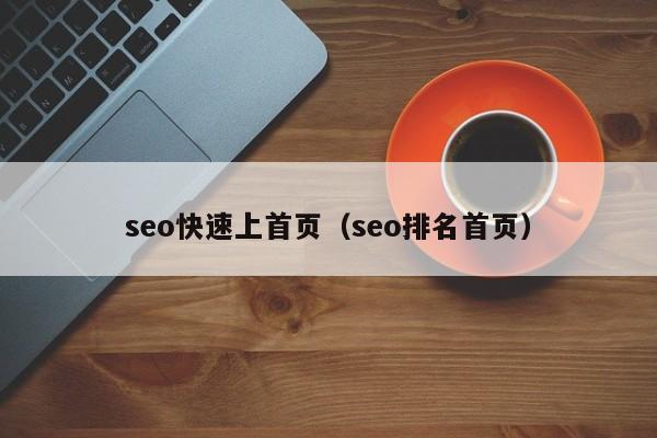 seo快速上首页（seo排名首页）