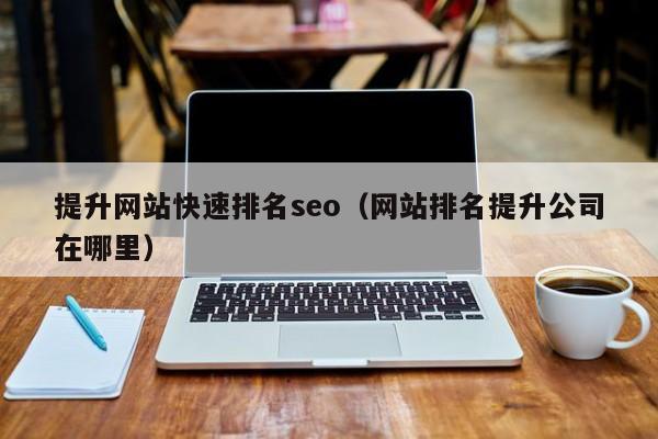 提升网站快速排名seo（网站排名提升公司在哪里）