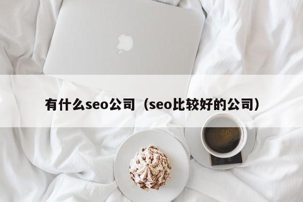 有什么seo公司（seo比较好的公司）