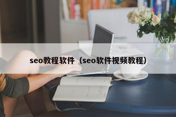 seo教程软件（seo软件视频教程）