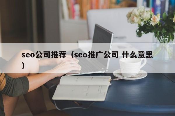 seo公司推荐（seo推广公司 什么意思）