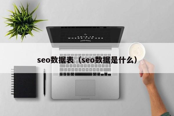 seo数据表（seo数据是什么）