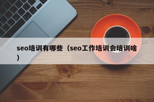 seo培训有哪些（seo工作培训会培训啥）