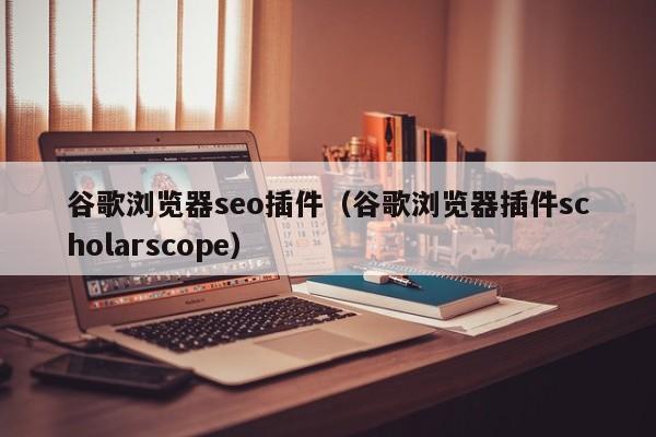 谷歌浏览器seo插件（谷歌浏览器插件scholarscope）