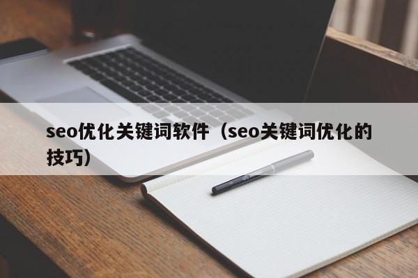 seo优化关键词软件（seo关键词优化的技巧）