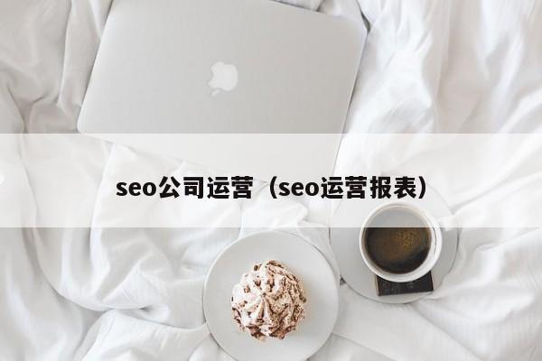 seo公司运营（seo运营报表）