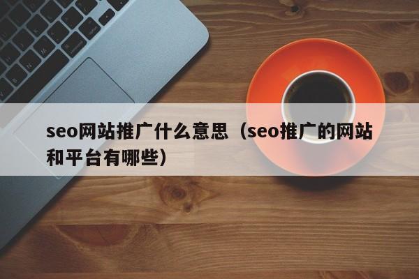 seo网站推广什么意思（seo推广的网站和平台有哪些）