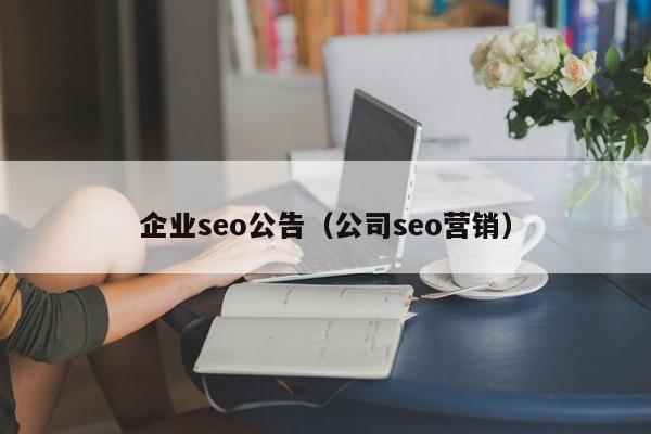 企业seo公告（公司seo营销）