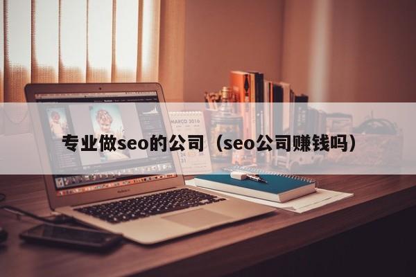 专业做seo的公司（seo公司赚钱吗）