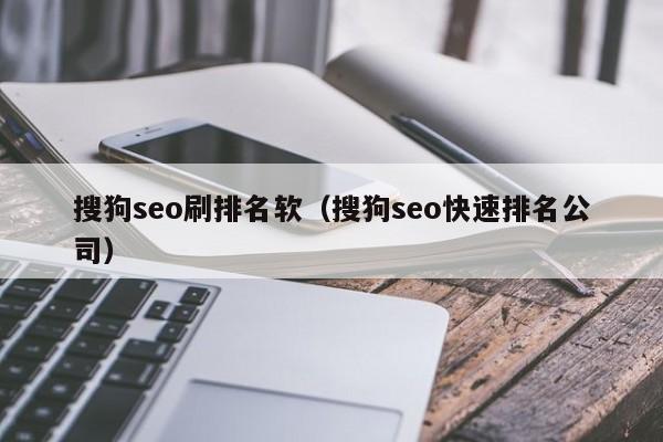 搜狗seo刷排名软（搜狗seo快速排名公司）