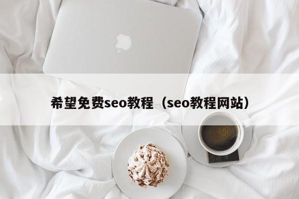 希望免费seo教程（seo教程网站）