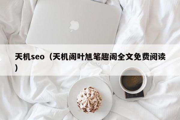 天机seo（天机阁叶旭笔趣阁全文免费阅读）