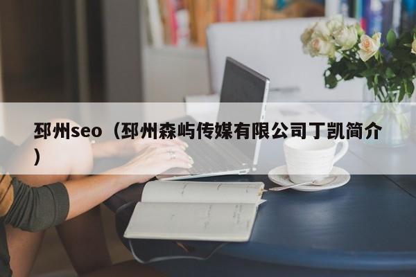 邳州seo（邳州森屿传媒有限公司丁凯简介）