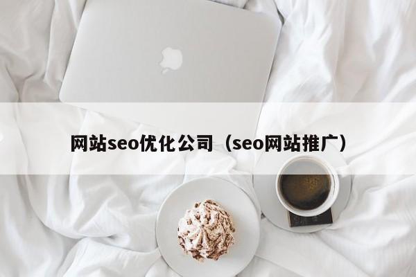 网站seo优化公司（seo网站推广）