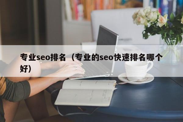 专业seo排名（专业的seo快速排名哪个好）