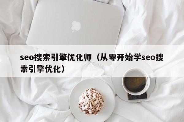 seo搜索引擎优化师（从零开始学seo搜索引擎优化）