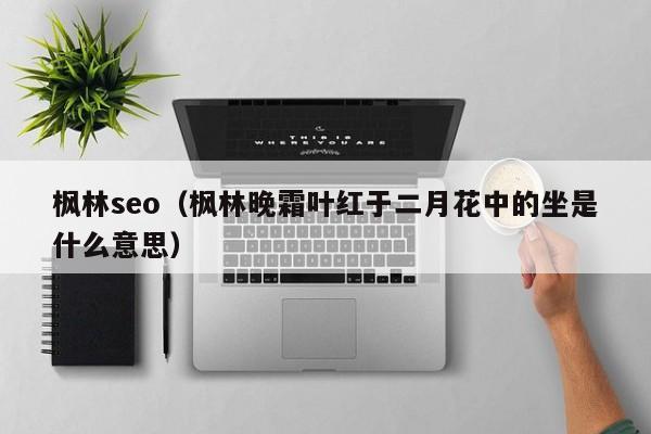 枫林seo（枫林晚霜叶红于二月花中的坐是什么意思）