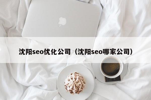 沈阳seo优化公司（沈阳seo哪家公司）