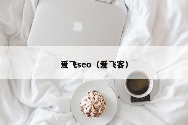 爱飞seo（爱飞客）