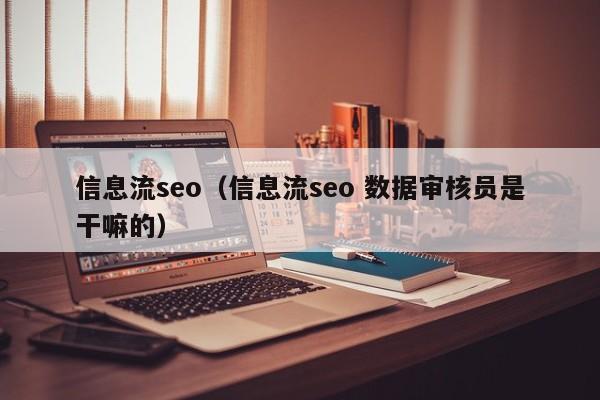 信息流seo（信息流seo 数据审核员是干嘛的）